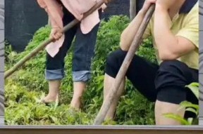 娱乐八卦是吃瓜群众