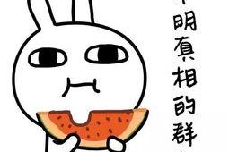 吃瓜娱乐常用bgm